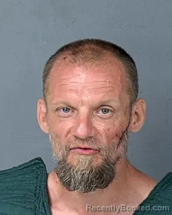 Mugshot of SHANE WELLINGTON WILSON