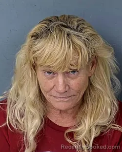 Mugshot of TAMMY DANIELS