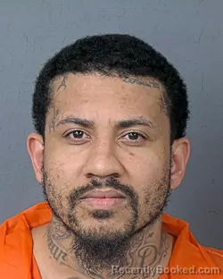 Booking photo from Hernando County, Florida