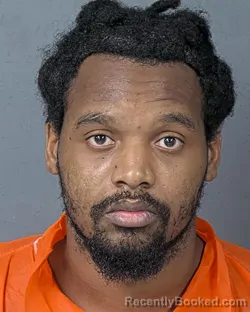 Booking photo from Hernando County, Florida