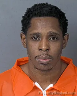 Booking photo from Hernando County, Florida