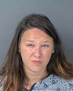 Mugshot of PATRICIA ANN SHERMAN booked in Hernando County, Florida on April 4, 2026