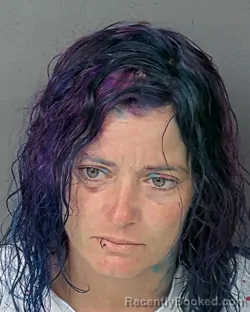 Mugshot of MEAGAN CHRISTINA SMITH booked in Hernando County, Florida on April 4, 2026