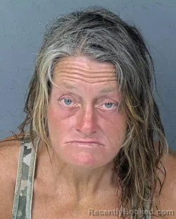 Mugshot of LEE ANNA MCGLAMORY booked in Hernando County, Florida on April 4, 2026