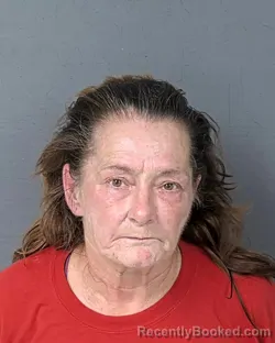 Mugshot of JACQUELINE RAE KOOISTRA booked in Hernando County, Florida on April 5, 2026