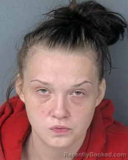 Mugshot of ALEXIS MARIE DUFF booked in Hernando County, Florida on April 6, 2026