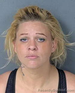 Mugshot of DEBRA NICHOLE SLUDER booked in Hernando County, Florida on April 6, 2026