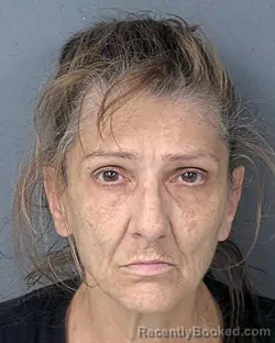 Mugshot of GAIL ANN GERODIMOS booked in Hernando County, Florida on April 10, 2026