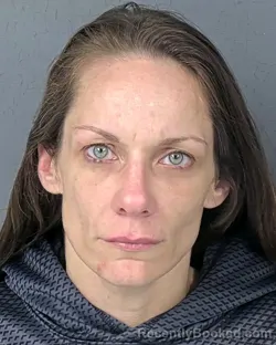 Mugshot of DANIELLE RENEE HARRIS booked in Hernando County, Florida on April 10, 2026