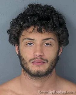 Mugshot of JUNIPER ROYAL RUBIDOUX SEVERIN booked in Hernando County, Florida on April 10, 2026