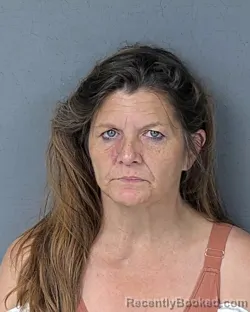 Mugshot of SUZANNE MARIE WIMER booked in Hernando County, Florida on April 10, 2026