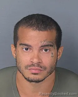 Mugshot of RYAN CHARLES FEEMSTER booked in Hernando County, Florida on April 10, 2026