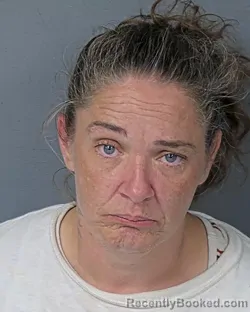 Mugshot of STEPHANIE ARLENE TENHAGEN booked in Hernando County, Florida on April 15, 2026