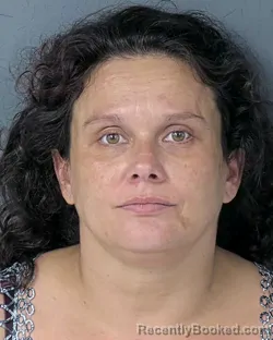 Mugshot of AMANDA SUE FASKE MCKIBBIN booked in Hernando County, Florida on April 15, 2026