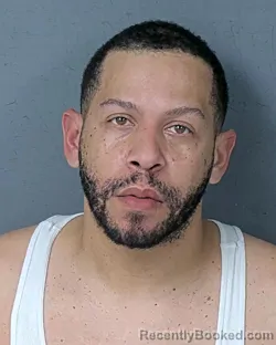 Mugshot of JASON ADOLFO CRESPO booked in Hernando County, Florida on April 16, 2026
