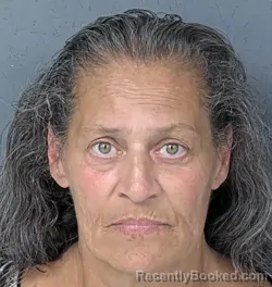 Mugshot of DIANA MICHELE MORRONGIELLO booked in Hernando County, Florida on April 16, 2026