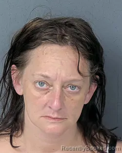 Mugshot of CARINA LEA EXUM booked in Hernando County, Florida on April 17, 2026