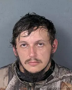 Mugshot of TYLER AUSTIN PITCHER booked in Hernando County, Florida on April 17, 2026