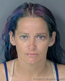 Mugshot of MEAGAN CHRISTINA SMITH booked in Hernando County, Florida on April 17, 2026