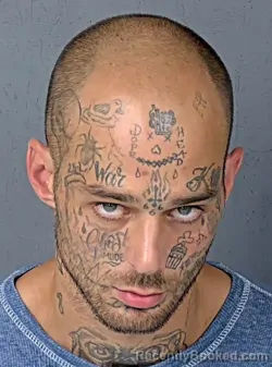 Mugshot of MATHEW RYAN TARVER MITCHELL booked in Hernando County, Florida on April 17, 2026