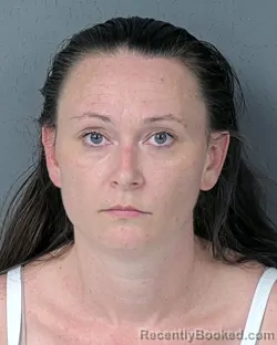Mugshot of MONICA KAYE BOYD booked in Hernando County, Florida on April 17, 2026