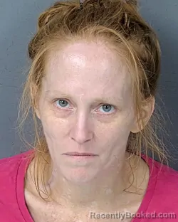 Mugshot of JULIANNE VAN DALEY booked in Hernando County, Florida on April 19, 2026