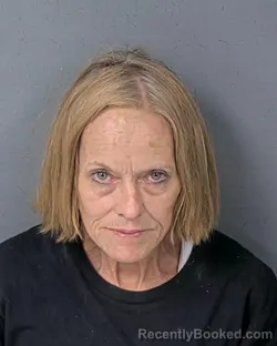 Mugshot of KIM ALLISON CANTY booked in Hernando County, Florida on April 22, 2026
