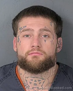 Mugshot of KERRY ALLEN TAYLOR booked in Hernando County, Florida on April 23, 2026