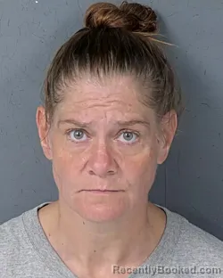 Mugshot of NICOLE JANINE COSTANZO booked in Hernando County, Florida on April 24, 2026