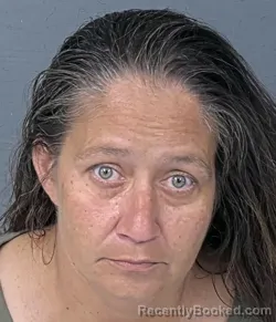 Mugshot of AMBER ANN PEREZ booked in Hernando County, Florida on April 26, 2026