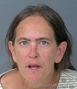 Mugshot of ERICA LYNN CHALLIS booked in Hernando County, Florida on April 26, 2026