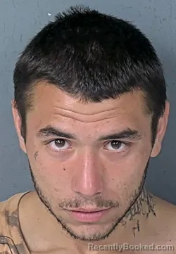 Mugshot of DAEMON DAKOTA BUSH booked in Hernando County, Florida on April 26, 2026