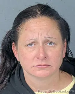 Mugshot of DANNIELLE THERESA GRAZIANO booked in Hernando County, Florida on April 27, 2026