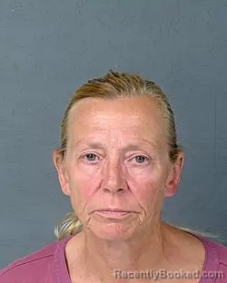 Mugshot of MARY LOU BLACK booked in Hernando County, Florida on April 27, 2026