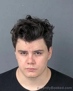 Mugshot of DANTE RAEHN MARINUCCI-GIVEN booked in Hernando County, Florida on April 27, 2026