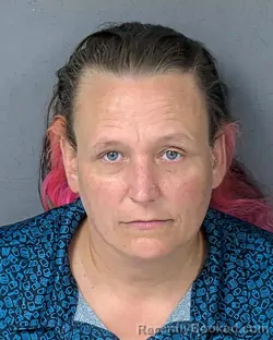 Mugshot of JEANNA LYNN ALBERTSON booked in Hernando County, Florida on April 28, 2026