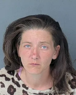 Mugshot of ELISHA SHAWNDELL HAGER booked in Hernando County, Florida on April 29, 2026