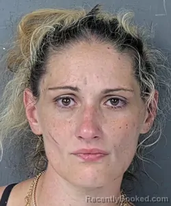 Mugshot of MICHELLE MARIE BOTSCH booked in Hernando County, Florida on April 30, 2026