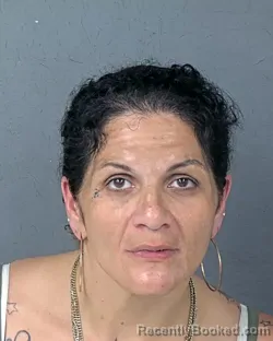 Mugshot of JENINA LUISA RODRIGUEZ booked in Hernando County, Florida on May 2, 2026