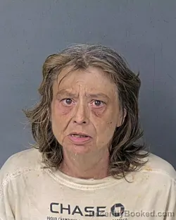 Mugshot of NOREEN FRANCES GRISWOLD booked in Hernando County, Florida on May 2, 2026