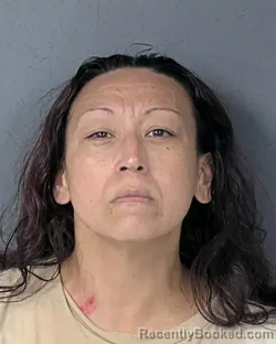 Mugshot of JESSICA CATHERINE SANTIAGO-WEBER booked in Hernando County, Florida on May 3, 2026