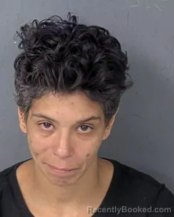 Mugshot of ANGELINA MARIE RISER booked in Hernando County, Florida on May 4, 2026
