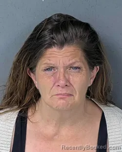 Mugshot of SUZANNE MARIE WIMER booked in Hernando County, Florida on May 5, 2026