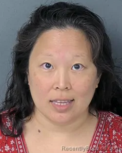 Mugshot of JANE MIHISIEN LEE booked in Hernando County, Florida on May 6, 2026