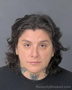 Mugshot of KIMBERLY ELIZABETH KINNER booked in Hernando County, Florida on May 8, 2026