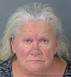 Mugshot of DORIS LOUISE PRICE booked in Hernando County, Florida on May 9, 2026