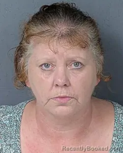 Mugshot of BRIDGETT LEE GODIN booked in Hernando County, Florida on May 11, 2026