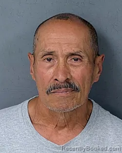Mugshot of MICHAEL PETER ALBATER booked in Hernando County, Florida on May 11, 2026