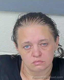 Mugshot of AMANDA MICHELLE LEE HAMPTON booked in Hernando County, Florida on May 12, 2026