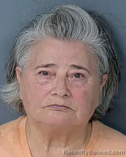 Mugshot of FELICITA TORRES DA SILVA booked in Hernando County, Florida on May 13, 2026